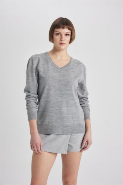 Regular Fit Knitwear Pullover