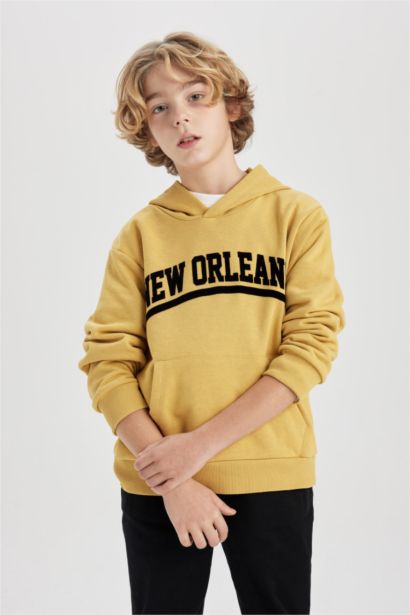 Boy Hooded Thick Sweatshirt Fabric Sweatshirt
