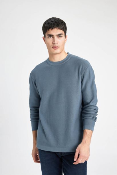 Standard Fit Crew Neck Basic Knitted Pullover