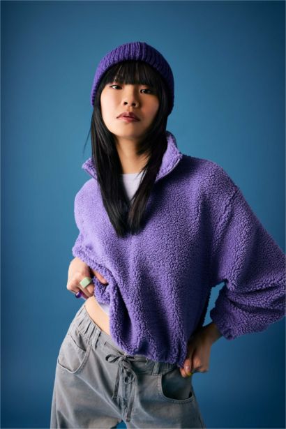 Oversize Fit Zippered Stand Collar Basic Plush Sweatshirt