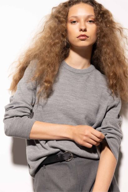 Regular Fit Crew Neck Pullover