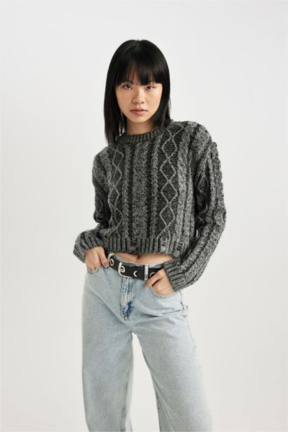 Regular Fit Crew Neck Knitwear Pullover