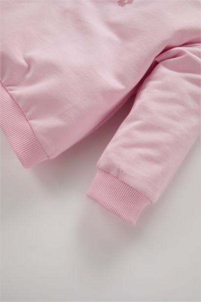 Baby Girl Floral Printed Sweatshirt Sweatpants 2 Piece Set