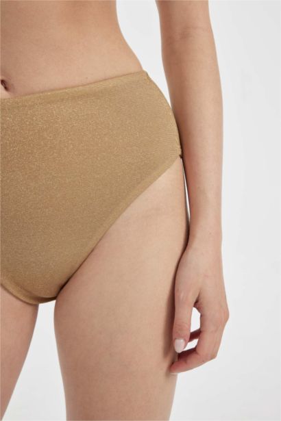 Regular Fit Shiny Fabric Bikini Bottom