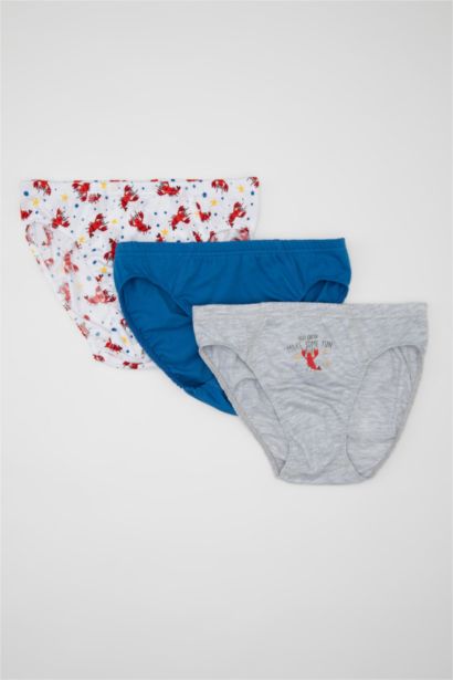Boy 3 Piece Cotton Slip Panties