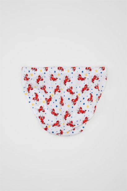 Boy 3 Piece Cotton Slip Panties