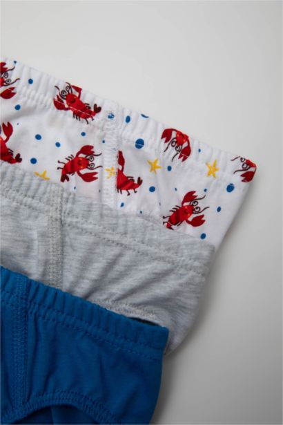 Boy 3 Piece Cotton Slip Panties