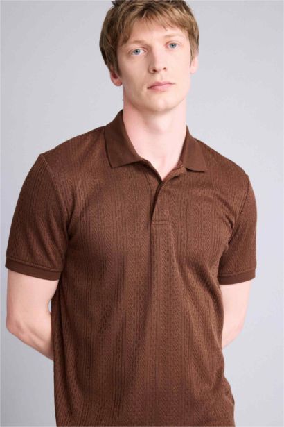 Regular Fit Polo Yaka Kısa Kollu Triko Tişört