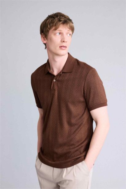 Regular Fit Polo Yaka Kısa Kollu Triko Tişört