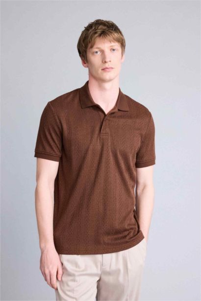 Regular Fit Polo Yaka Kısa Kollu Triko Tişört