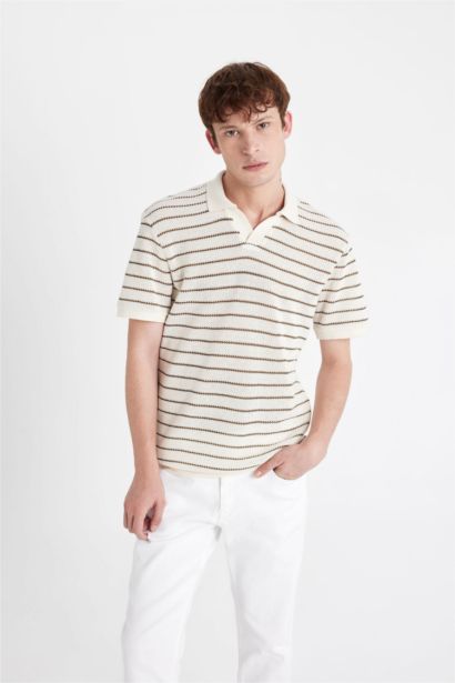 Regular Fit Striped Knitwear Polo T-Shirt