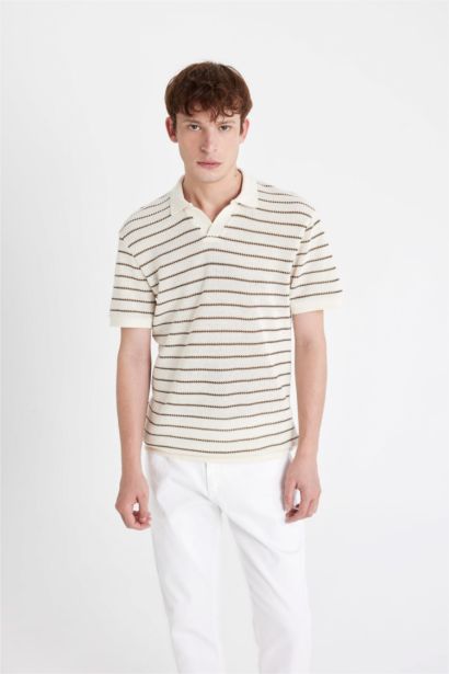 Regular Fit Striped Knitwear Polo T-Shirt