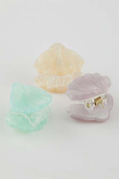 Woman 6 Piece Hair Clips