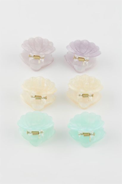 Woman 6 Piece Hair Clips