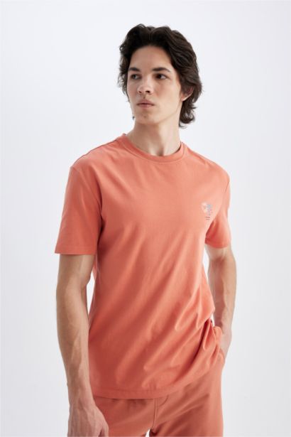 Regular Fit Crew Neck Printed T-Shirt