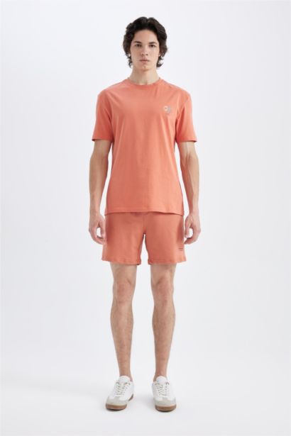 Regular Fit Crew Neck Printed T-Shirt