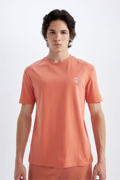 Regular Fit Crew Neck Printed T-Shirt