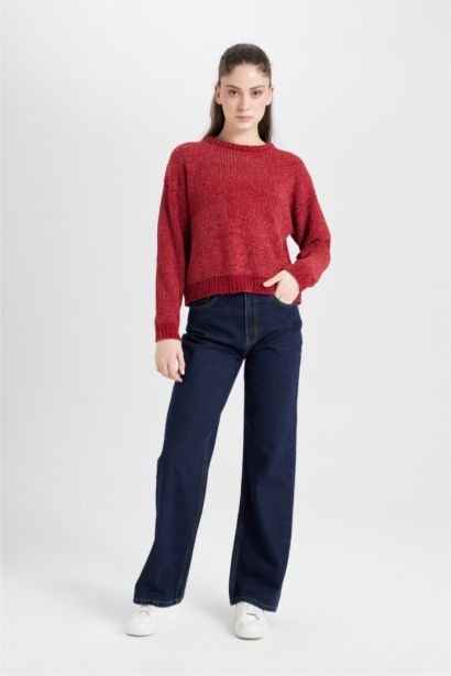 Regular Fit Crew Neck Knitwear Pullover