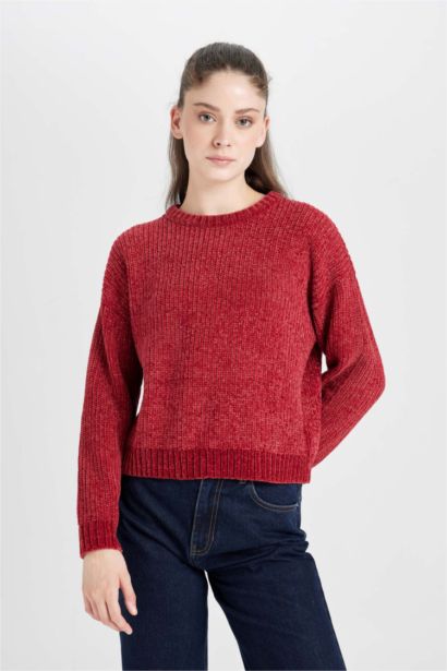 Regular Fit Crew Neck Knitwear Pullover