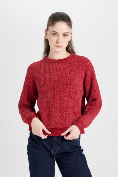 Regular Fit Crew Neck Knitwear Pullover