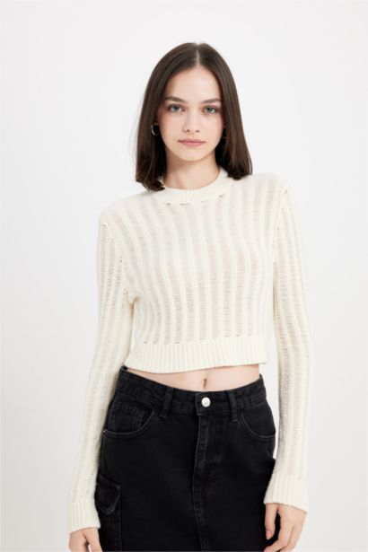 Regular Fit Crew Neck Knitted Crop Pullover