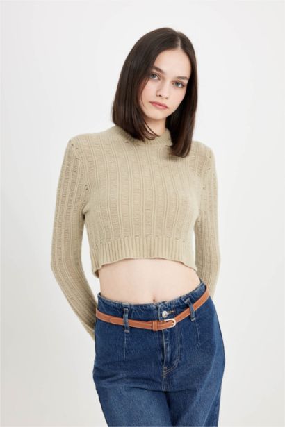 Regular Fit Crew Neck Knitted Crop Pullover
