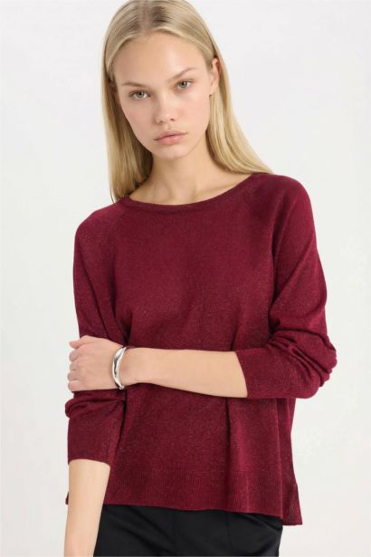 Regular Fit Crew Neck Knitwear Pullover