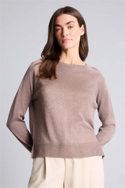 Regular Fit Crew Neck Pullover