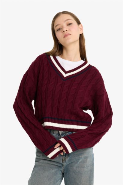 Regular Fit V Neck Knit Pullover