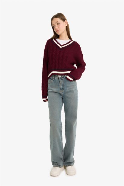 Regular Fit V Neck Knit Pullover