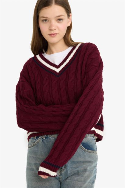 Regular Fit V Neck Knit Pullover