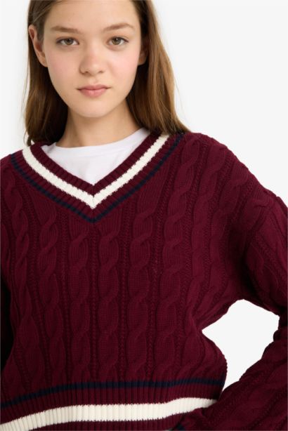 Regular Fit V Neck Knit Pullover
