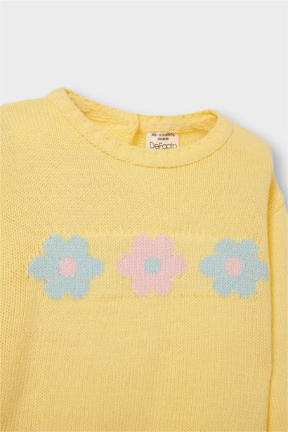 Baby Girl Regular Fit Crew Neck Knit Pullover