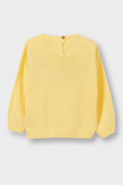 Baby Girl Regular Fit Crew Neck Knit Pullover