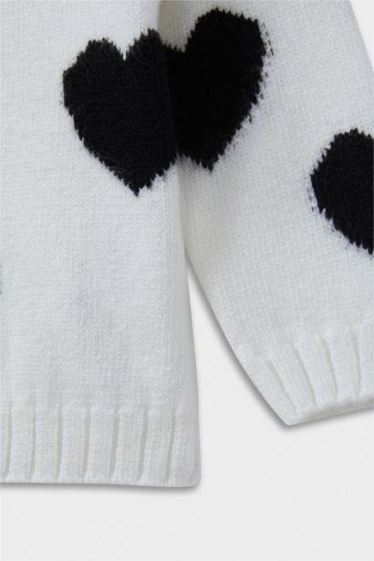 Baby Girl Regular Fit Crew Neck Pullover