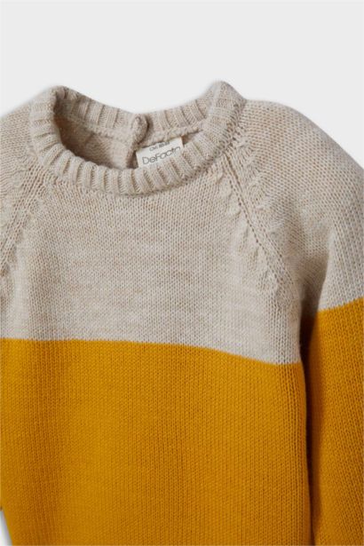 Baby Boy Regular Fit Color Block Pullover