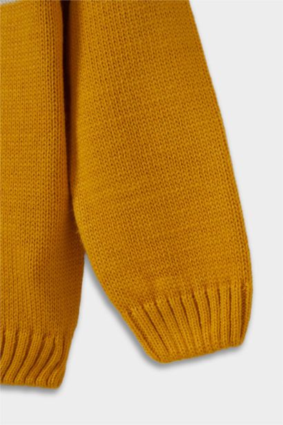 Baby Boy Regular Fit Color Block Pullover