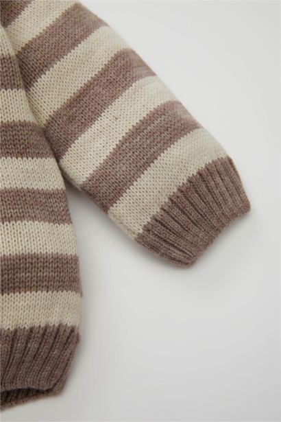 Baby Boy Regular Fit Striped Pullover