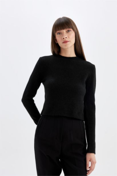 Black Regular Fit Crew Neck Premium Basic Crop Pullover