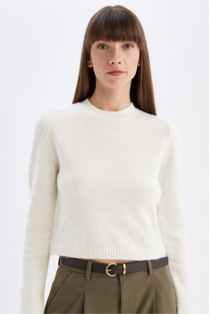 Regular Fit Crew Neck Premium Basic Crop Pullover