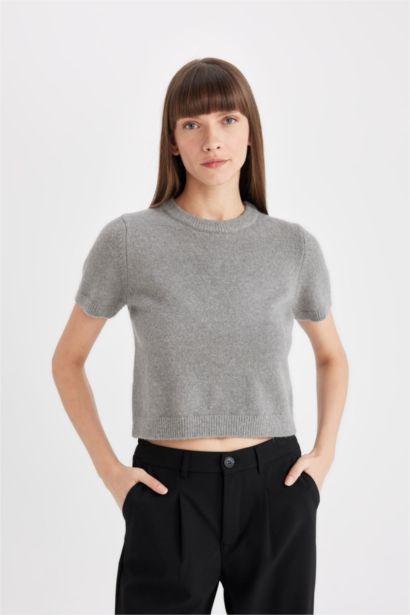 Gray Regular Fit Crew Neck Premium Basic Pullover
