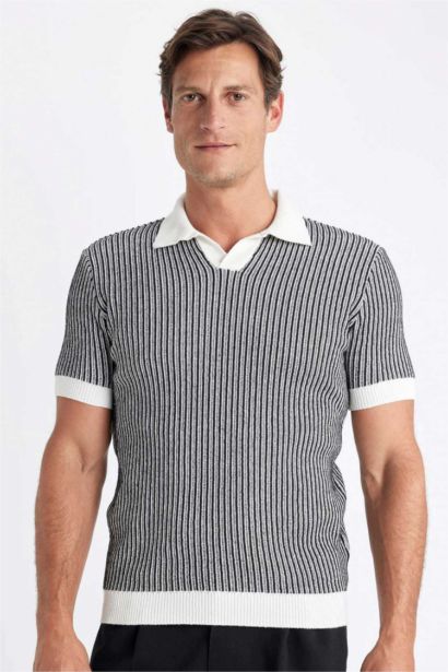 Standard Fit Striped Knitwear Polo T-Shirt