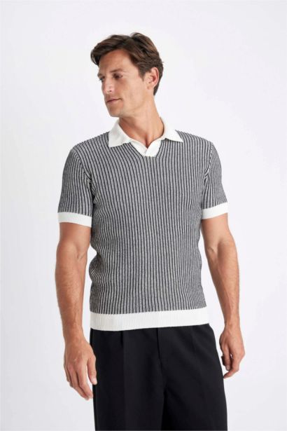 Standard Fit Striped Knitwear Polo T-Shirt