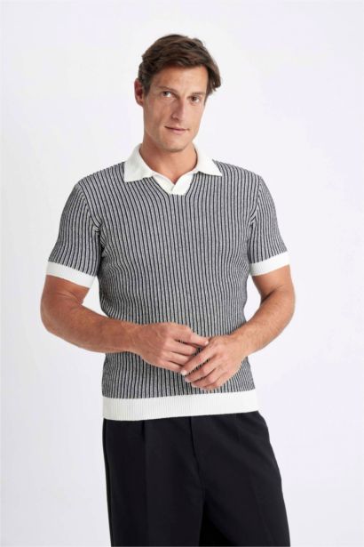 Standard Fit Striped Knitwear Polo T-Shirt