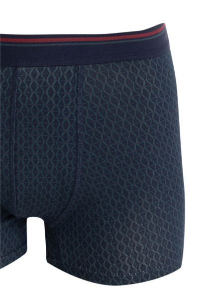 Regular Fıt Kareli 3'lü Boxer