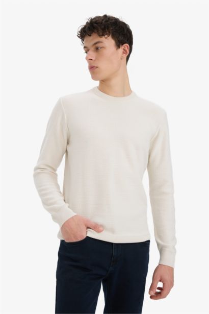 Standard Fit Crew Neck Knitwear Pullover