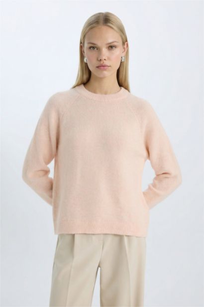 Regular Fit Crew Neck Knitwear Pullover