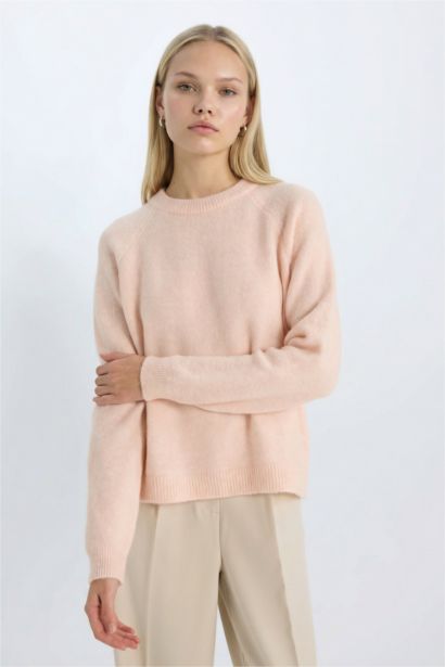 Regular Fit Crew Neck Knitwear Pullover