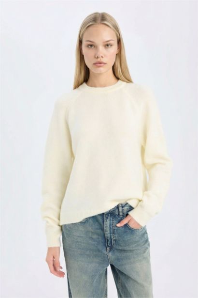 Regular Fit Crew Neck Basic Knit Pullover