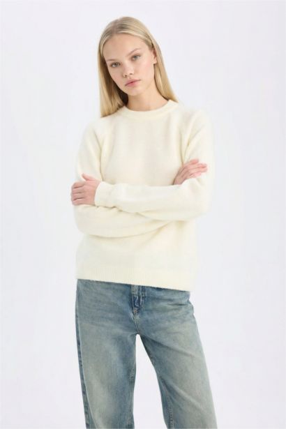Regular Fit Crew Neck Basic Knit Pullover